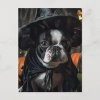 A Cute Boston Terrier Halloween Witch Postcard