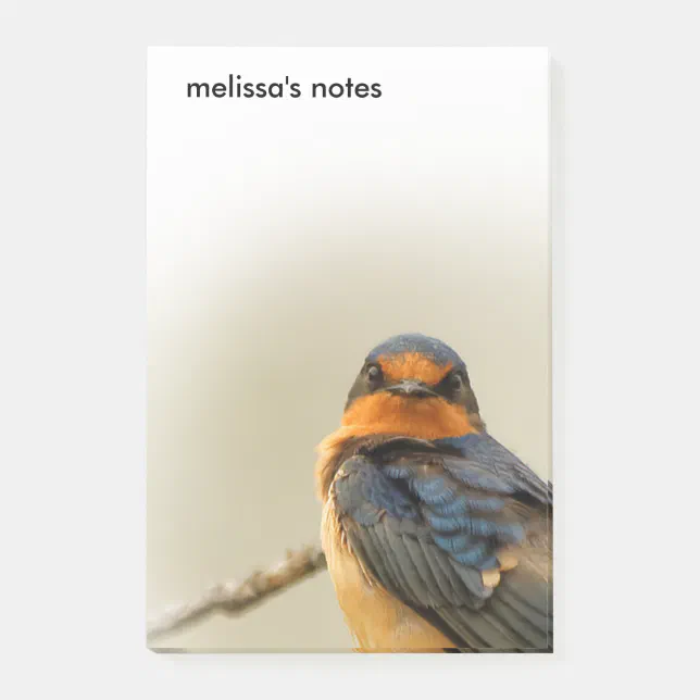 Trading Stares with Stunning Barn Swallow Songbird Post-it Notes