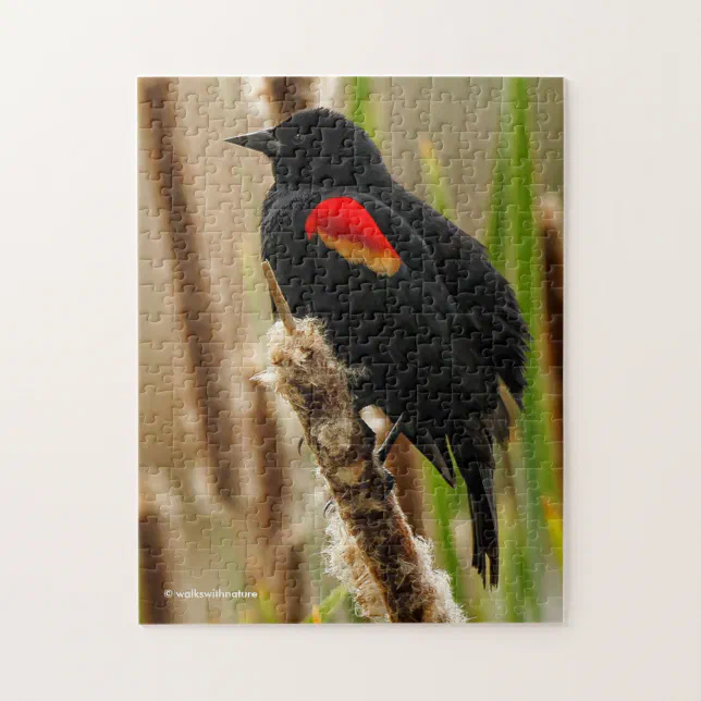 Red-Winged Blackbird on the Bulrush Jigsaw Puzzle