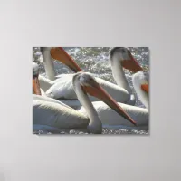 American White Pelican Nature Photography  Canvas Print