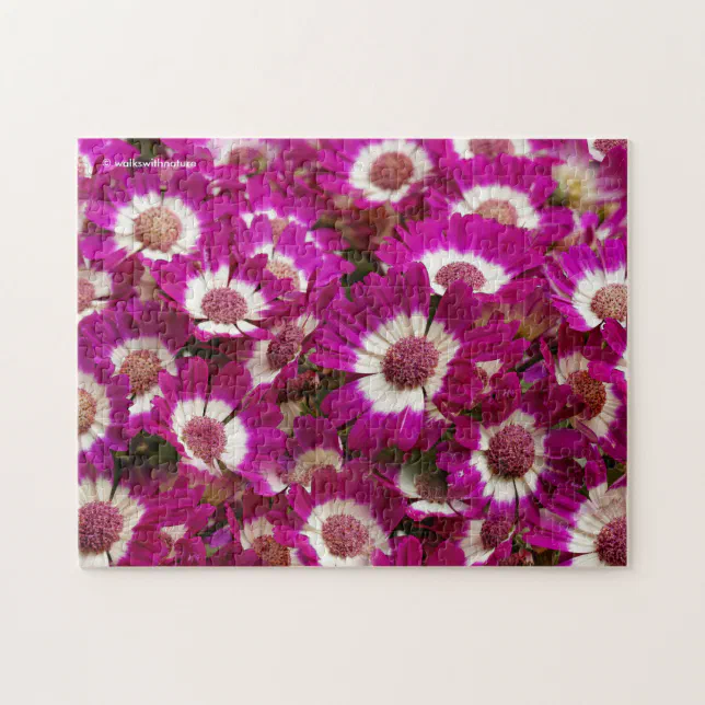 Beautiful Purple Cineraria Flowers Jigsaw Puzzle