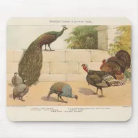 Peacock,Turkey, & Guinea Fowl Mouse Pad