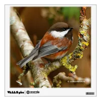 Cute Chestnut-Backed Chickadee Songbird in Tree Wall Sticker