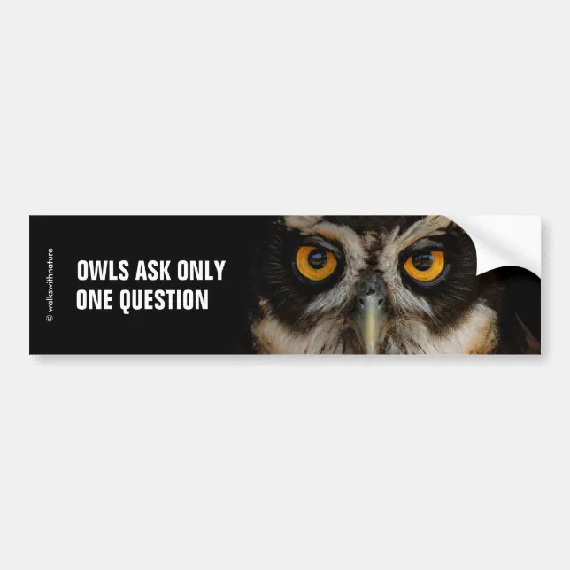 Mesmerizing Golden Eyes of a Spectacled Owl Bumper Sticker