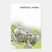Heartwarming Cute Bushtits Songbirds Family Photo Post-it Notes