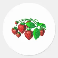 Fresh Strawberries Classic Round Sticker