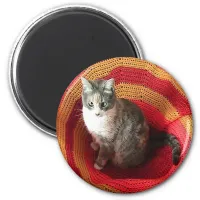 Pearl Cat on Afghan Magnet