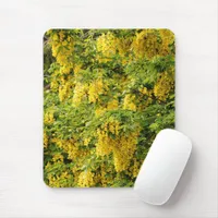 Stunning Golden Chain / Laburnum Tree Mouse Pad