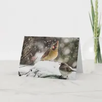 Pretty Cardinal in the Snow Blank Card