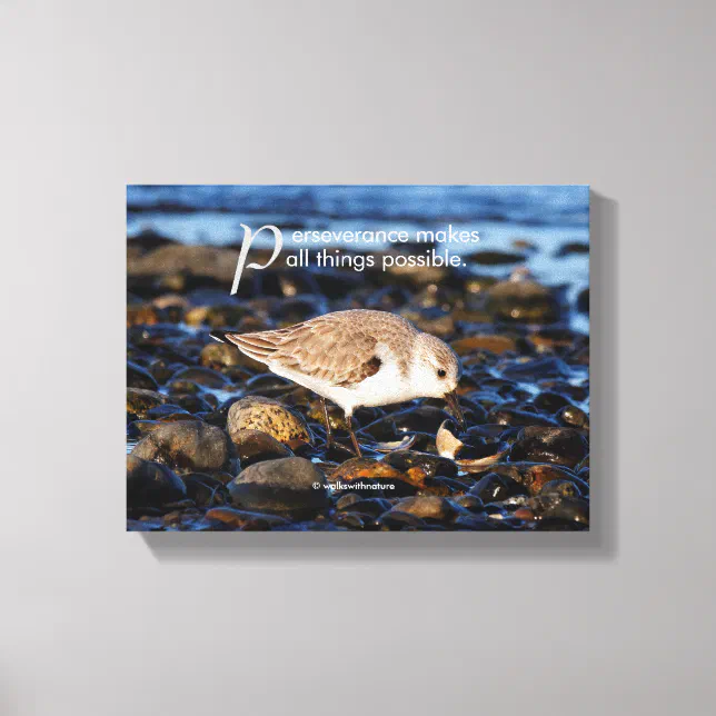 Motivational "Perseverance Makes ..." Sanderling Canvas Print