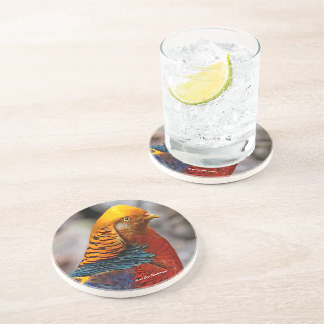 Profile of a Red Golden Pheasant Coaster