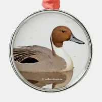 Reflections of a Northern Pintail Duck Metal Ornament
