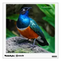 A Stunning African Superb Starling Wall Decal
