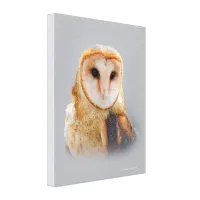 A Serene and Beautiful Barn Owl Canvas Print