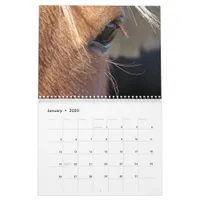 Horses Calendar