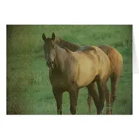 Two Horses in a Pasture