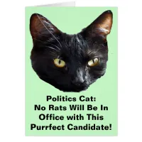Politics Cat No Rats Will Be In Office