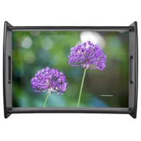 Purple Allium Giganteum Giant Onion Flowers Serving Tray