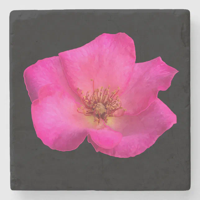 Felt Rose Stone Coaster