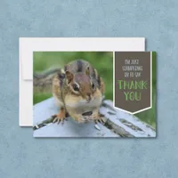 Cute Chipmunk with Seed to Eat Thank You Card