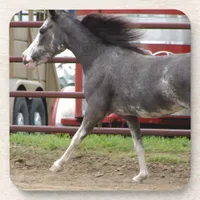 Mini Horse in Liberty Class Beverage Coaster