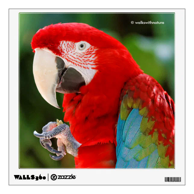 Profile of a Pretty Green-Winged Macaw Wall Sticker