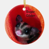 Sugar Glider in Orange Hanging Bed Ceramic Ornament