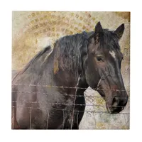 The Gentle One, A draft horse Tile