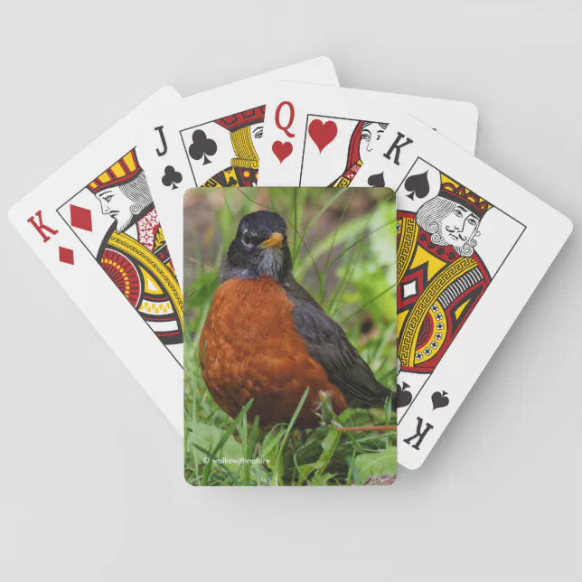 Bold Curious American Robin in Green Grass Poker Cards