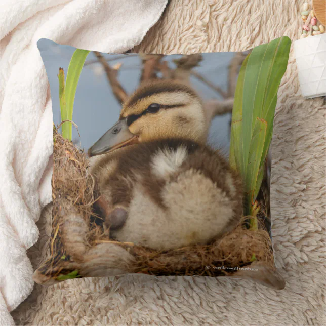 Cute Precocious Mallard Duckling Baby Bird Throw Pillow
