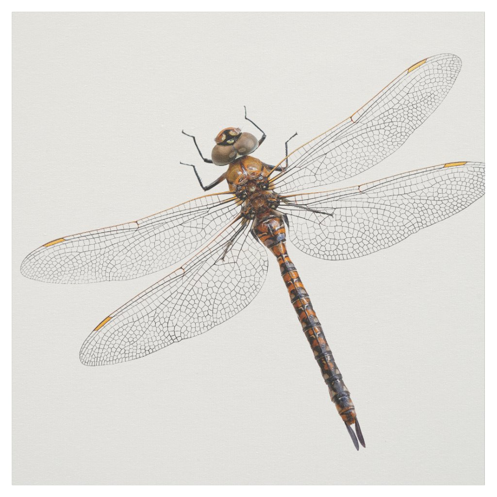 Closeup of a Canada Darner Dragonfly Fabric