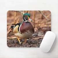 Male Wood Duck in the Woods Mouse Pad