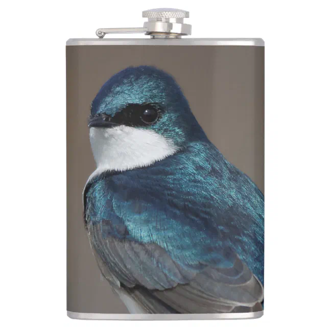 Handsome Tree Swallow Songbird on a Wire Hip Flask
