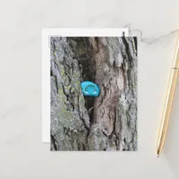 Painted Little Rainbow Rock Hidden in a Tree Postcard