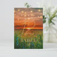 String Lights and Sunset Table Numbers ID525