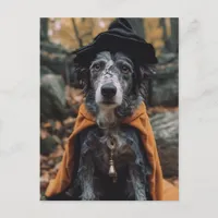 Adorable Spotted Halloween Dog Postcard