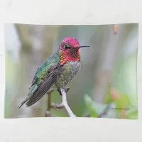 Stunning Male Anna's Hummingbird on the Plum Tree Trinket Tray