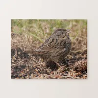 Cute and Spunky Lincoln's Sparrow Jigsaw Puzzle