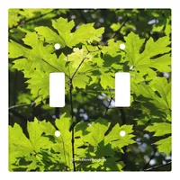 Sun-Dappled Leaves in the Forest Light Switch Cover