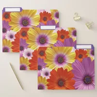 Colorful Medley of African Daisies Flowers File Folder