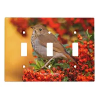 Hermit Thrush Songbird on Scarlet Firethorn Light Switch Cover