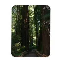 Muir Woods National Monument Magnet