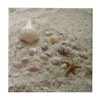 Seashells In The Sand Ceramic Tile