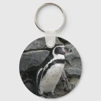 Humboldt Penguin Close-up Photo Keychain