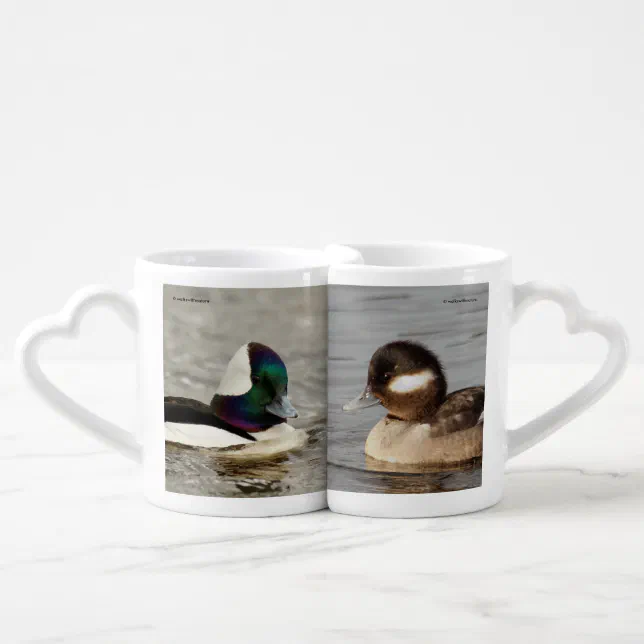 Bufflehead Duck Lovebirds on the Lake Coffee Mug Set