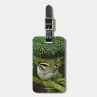Cute Little Kinglet Causes a Stir in the Fir Luggage Tag
