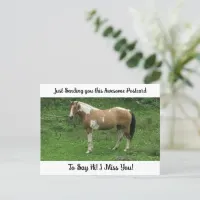 Cute Horse "I Miss YOU" Saying Hi Post Card