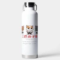 Three Little Ninja Kitties Water Bottle