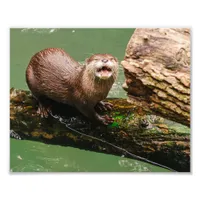 Cute Otter Laughing on Log in the Water Photo Print