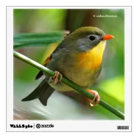 Colorful Leiothrix / Pekin Robin Songbird Wall Sticker